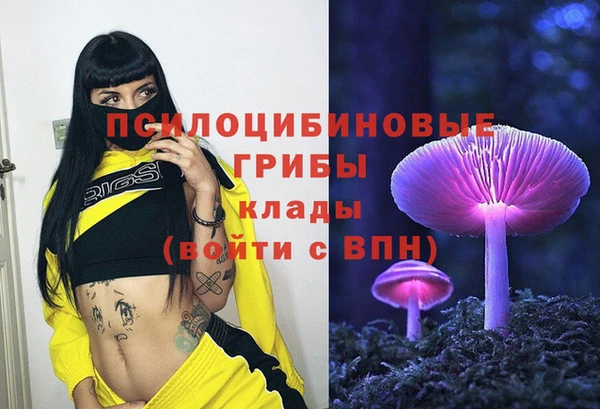тгк Медногорск