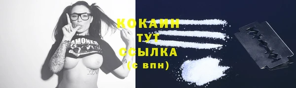 стафф Абинск