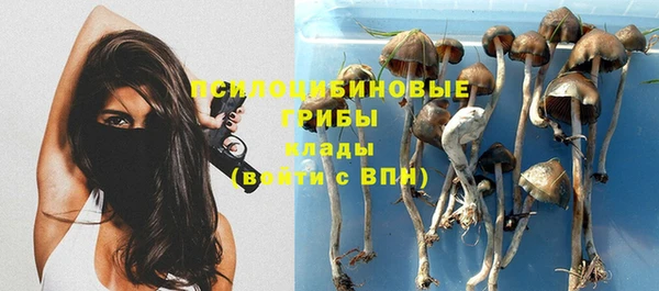 стафф Абинск
