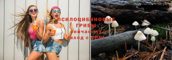 бутират Медвежьегорск
