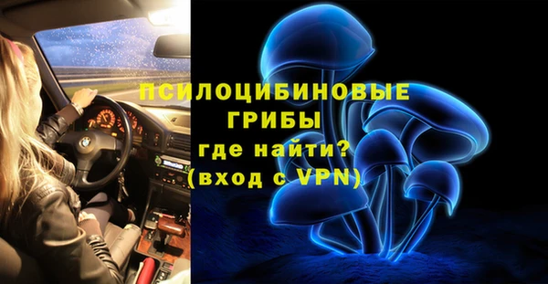 винт Мегион